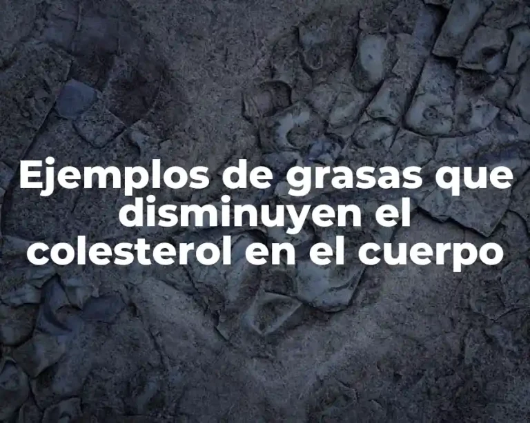Ejemplos de grasas que disminuyen el colesterol en el cuerpo