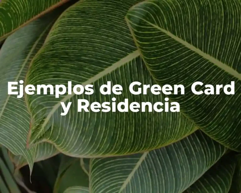 Ejemplos de Green Card y Residencia