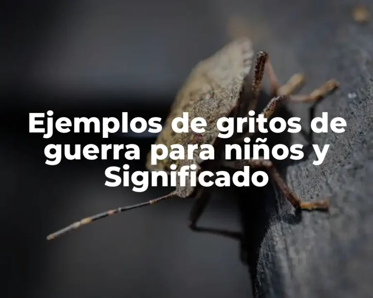 Ejemplos de gritos de guerra para niños y Significado