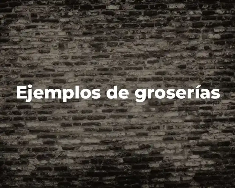 Ejemplos de groserías