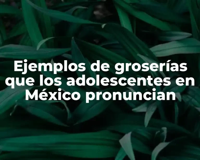 Ejemplos de groserías que los adolescentes en México pronuncian