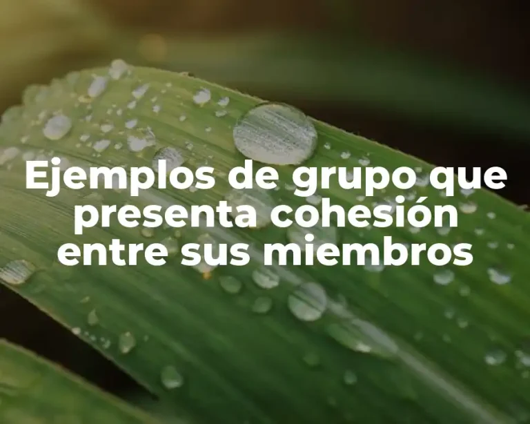 Ejemplos de grupo que presenta cohesión entre sus miembros