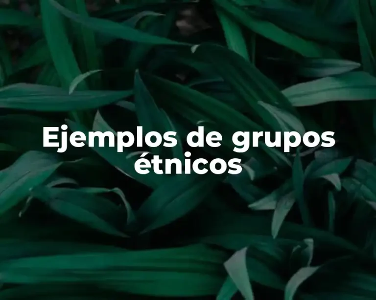 Ejemplos de grupos étnicos