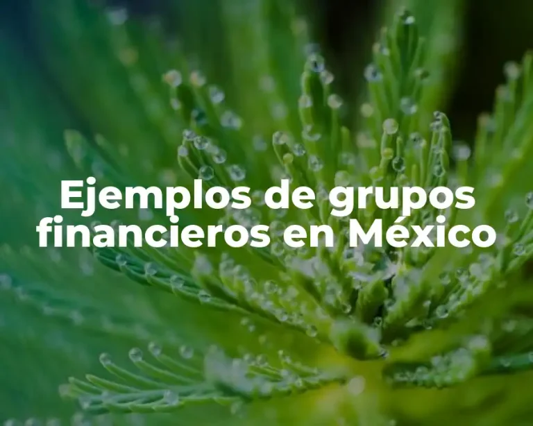 Ejemplos de grupos financieros en México