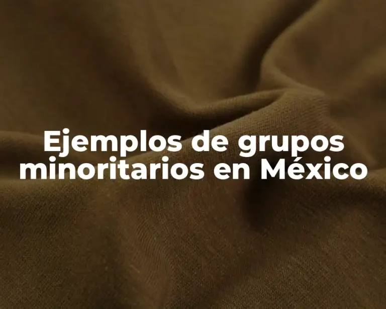 Ejemplos de grupos minoritarios en México