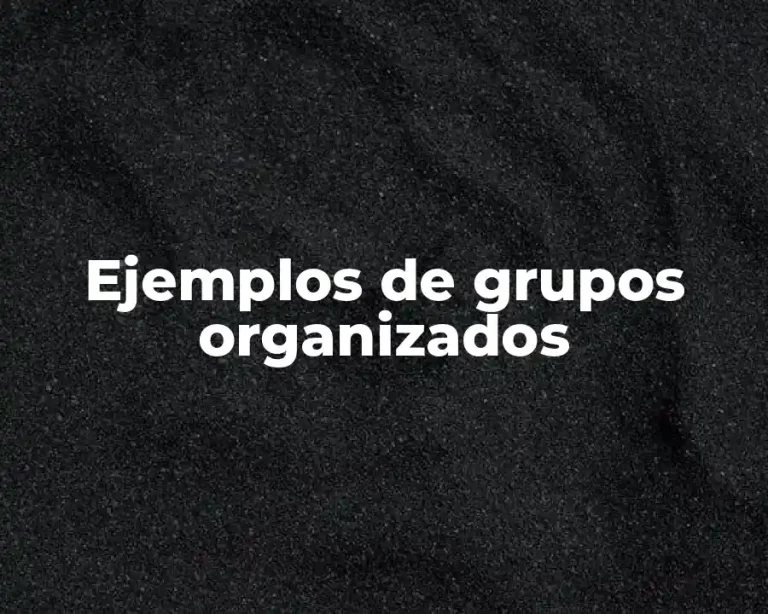 Ejemplos de grupos organizados