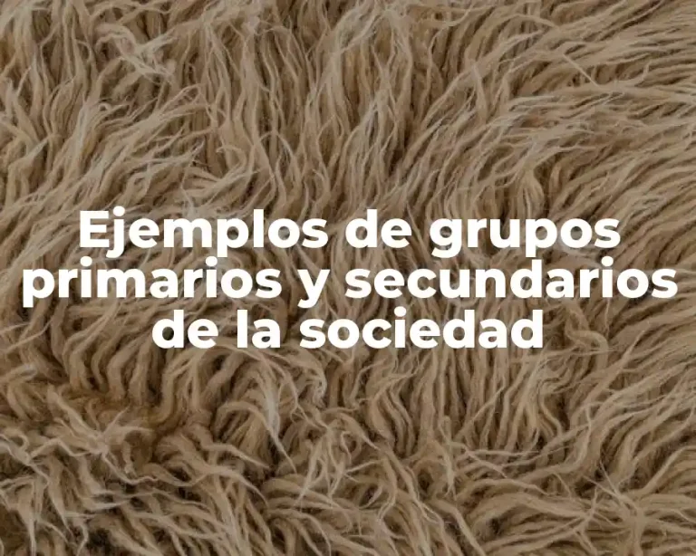 Ejemplos de grupos primarios y secundarios de la sociedad