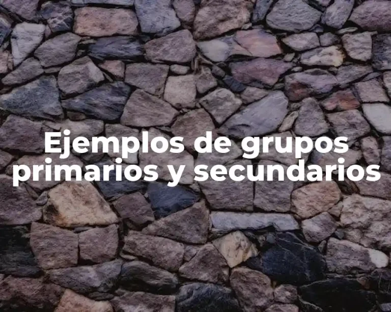 Ejemplos de grupos primarios y secundarios