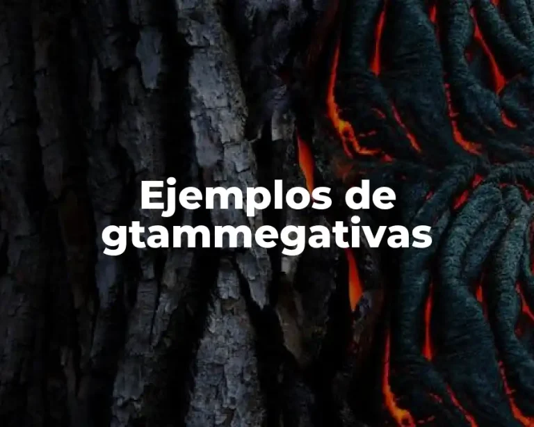 Ejemplos de gtammegativas