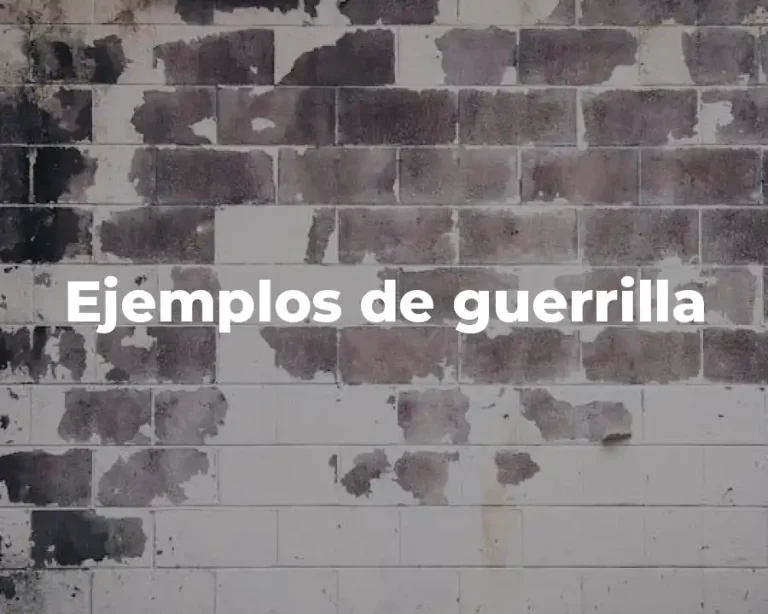 Ejemplos de guerrilla