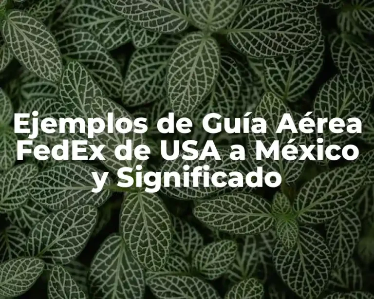 Ejemplos de Guía Aérea FedEx de USA a México y Significado