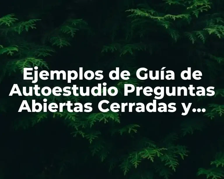 Ejemplos de Guía de Autoestudio Preguntas Abiertas Cerradas y Mixtas