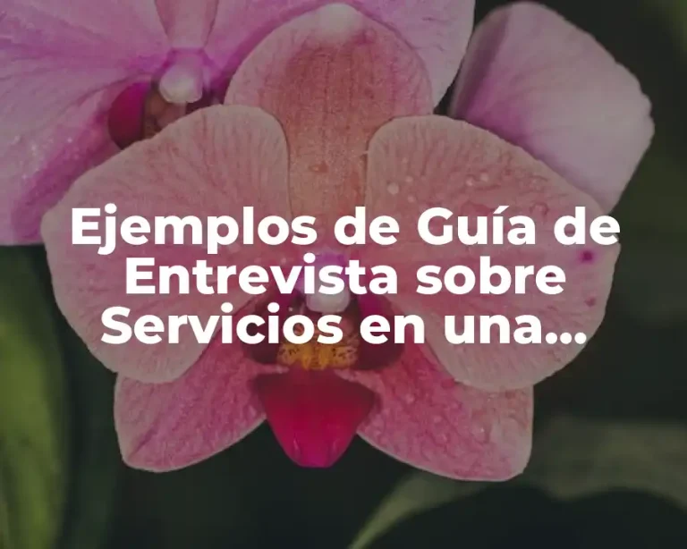 Ejemplos de Guía de Entrevista sobre Servicios en una Vivienda y Significado