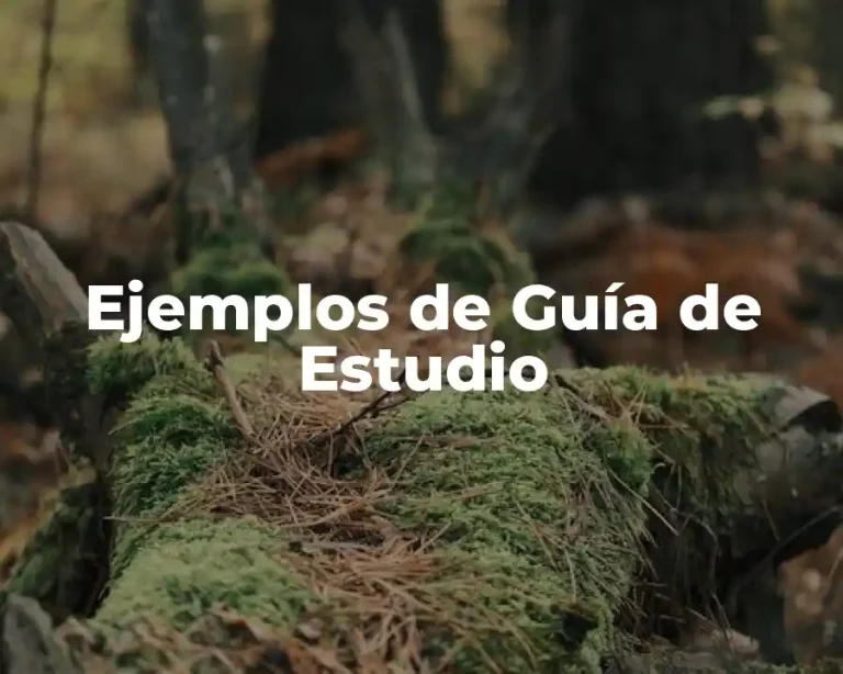 Ejemplos de Guía de Estudio