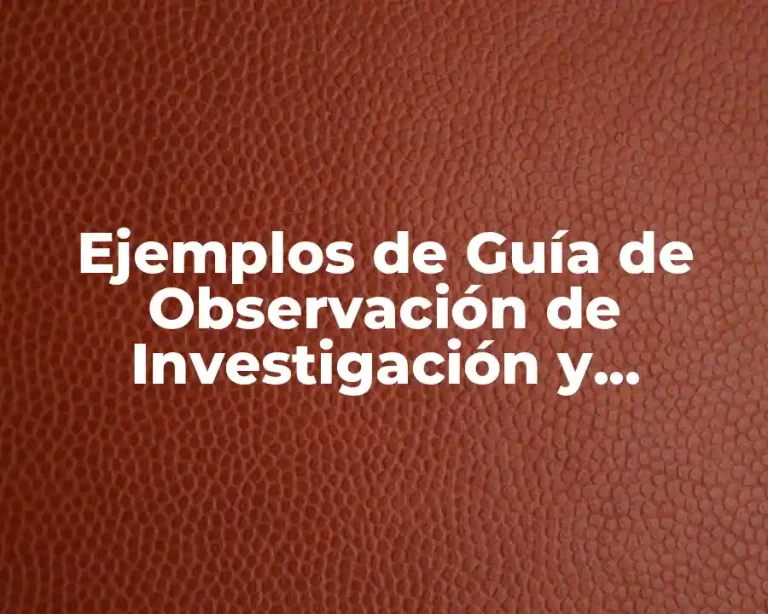 Ejemplos de Guía de Observación de Investigación y Significado