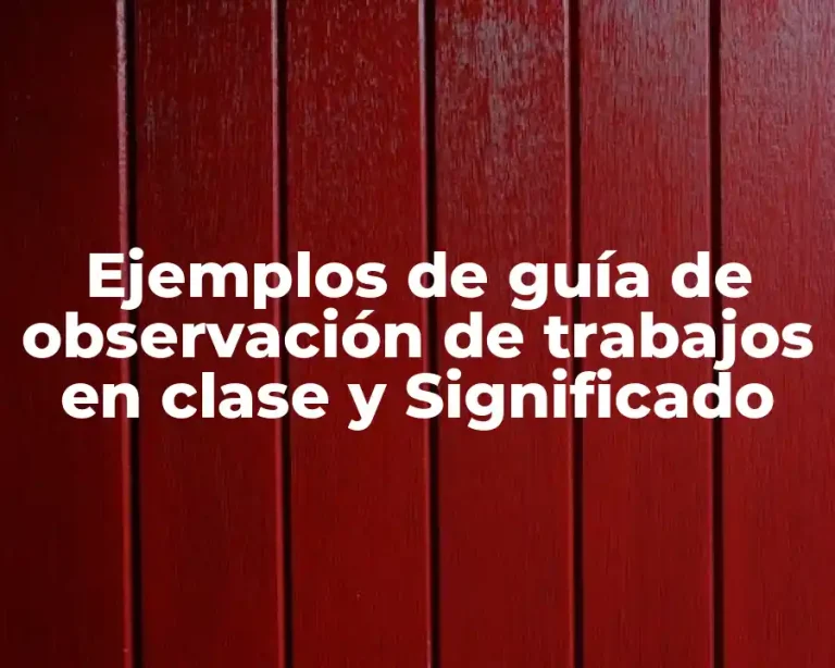 Ejemplos de guía de observación de trabajos en clase y Significado