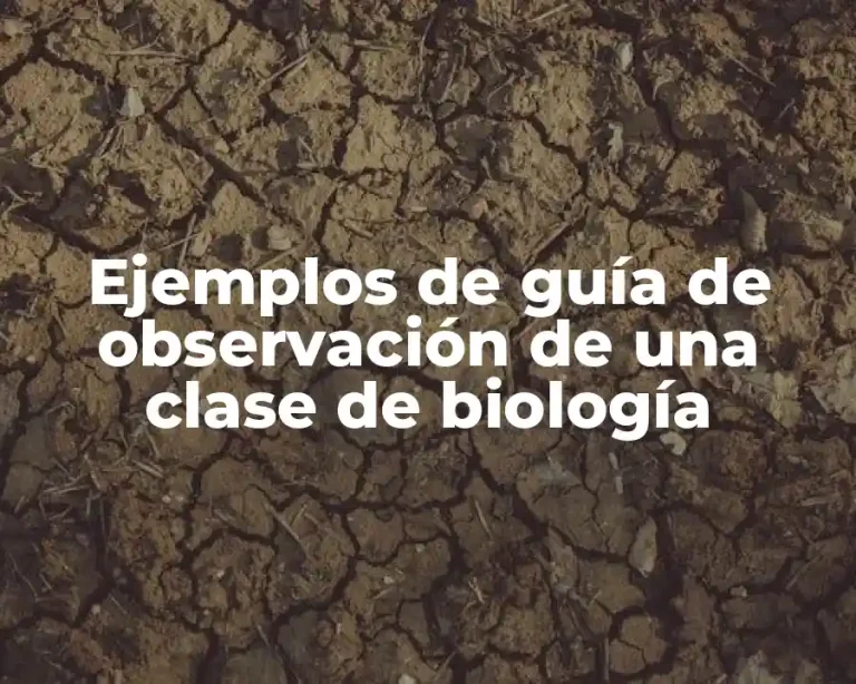 Ejemplos de guía de observación de una clase de biología
