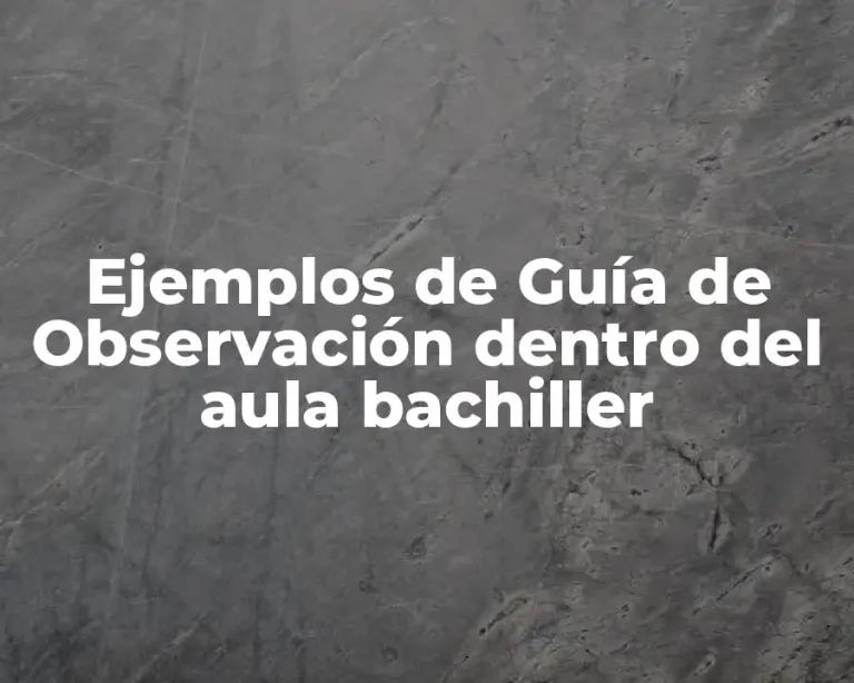 Ejemplos de Guía de Observación dentro del aula bachiller
