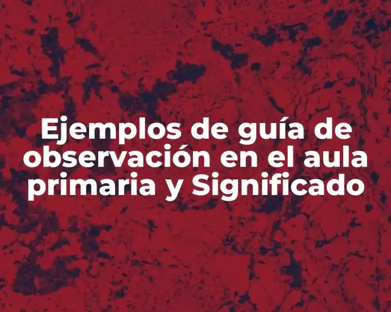 Ejemplos de guía de observación en el aula primaria y Significado