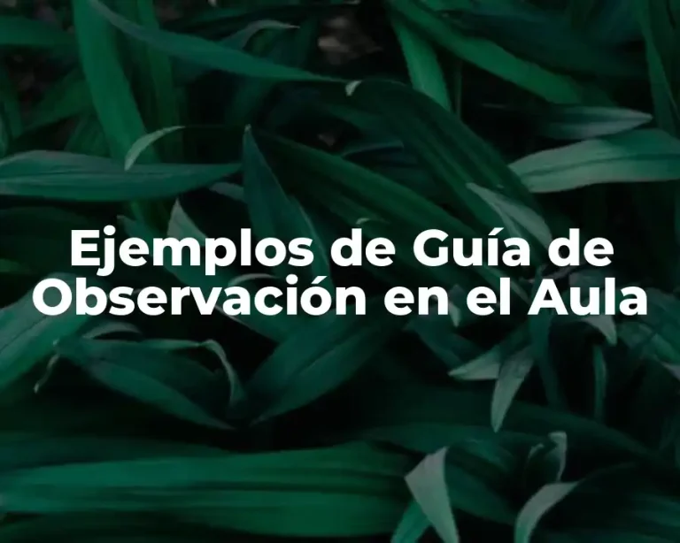 Ejemplos de Guía de Observación en el Aula