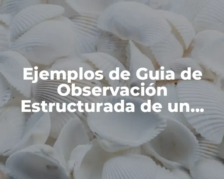 Ejemplos de Guia de Observación Estructurada de un Producto