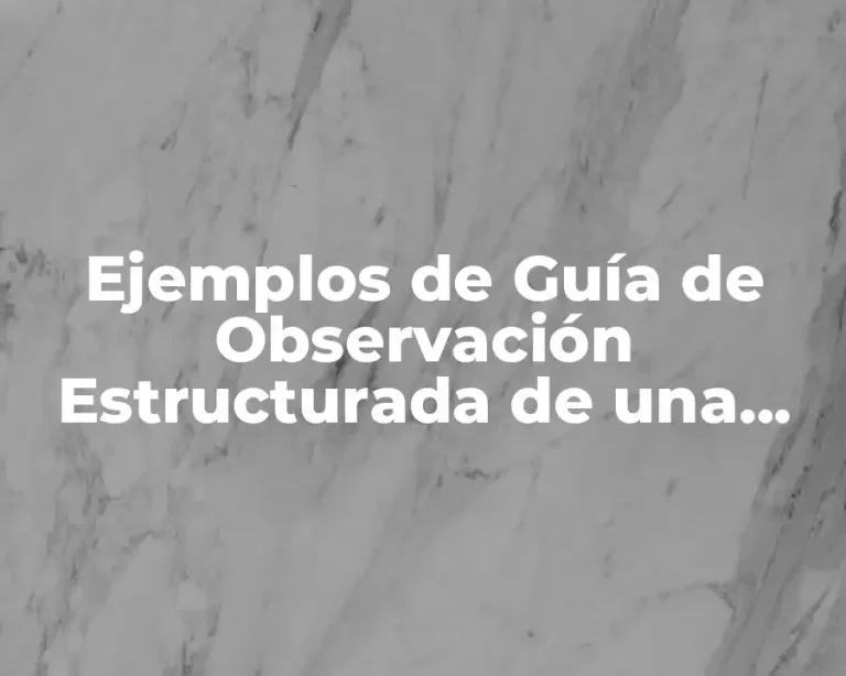 Ejemplos de Guía de Observación Estructurada de una Empresa