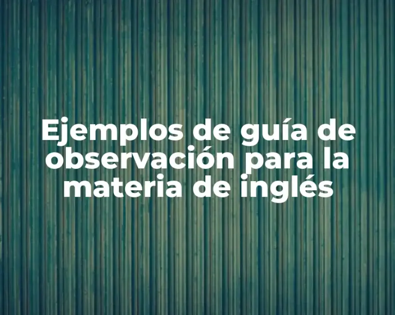 Ejemplos de guía de observación para la materia de inglés
