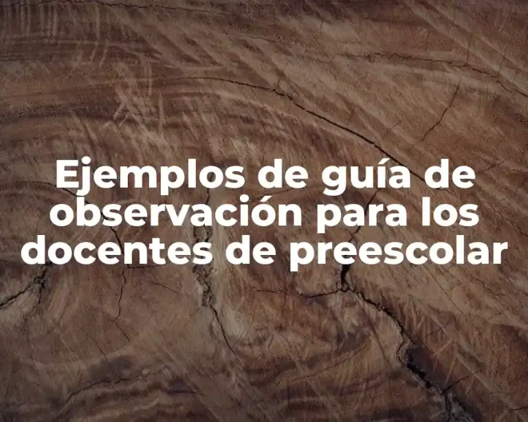 Ejemplos de guía de observación para los docentes de preescolar
