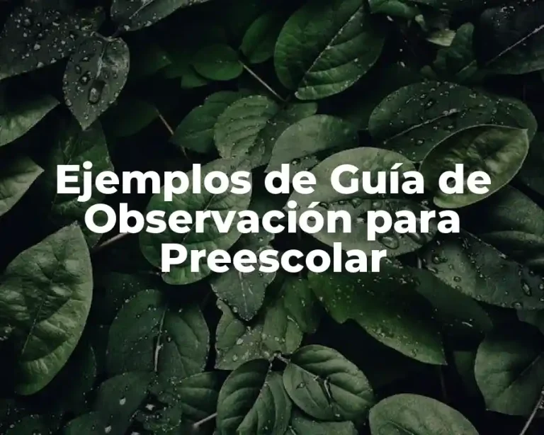 Ejemplos de Guía de Observación para Preescolar