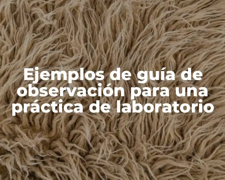 Ejemplos de guía de observación para una práctica de laboratorio