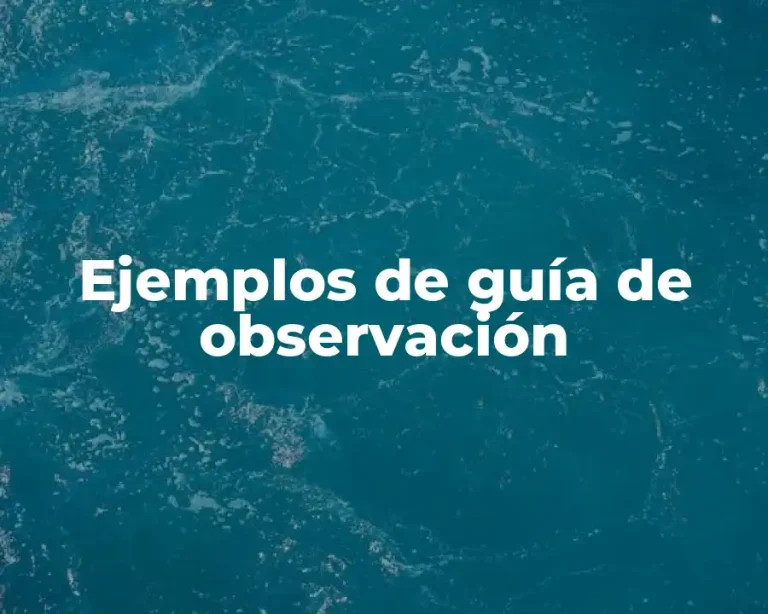 Ejemplos de guía de observación