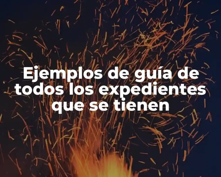 Ejemplos de guía de todos los expedientes que se tienen