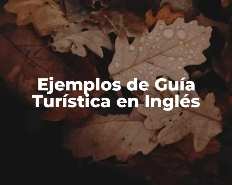 Ejemplos de Guía Turística en Inglés