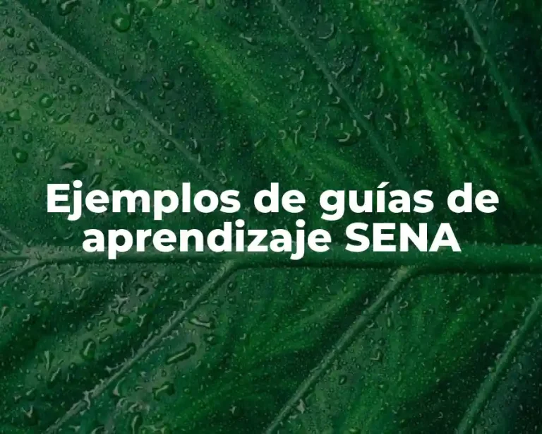 Ejemplos de guías de aprendizaje SENA
