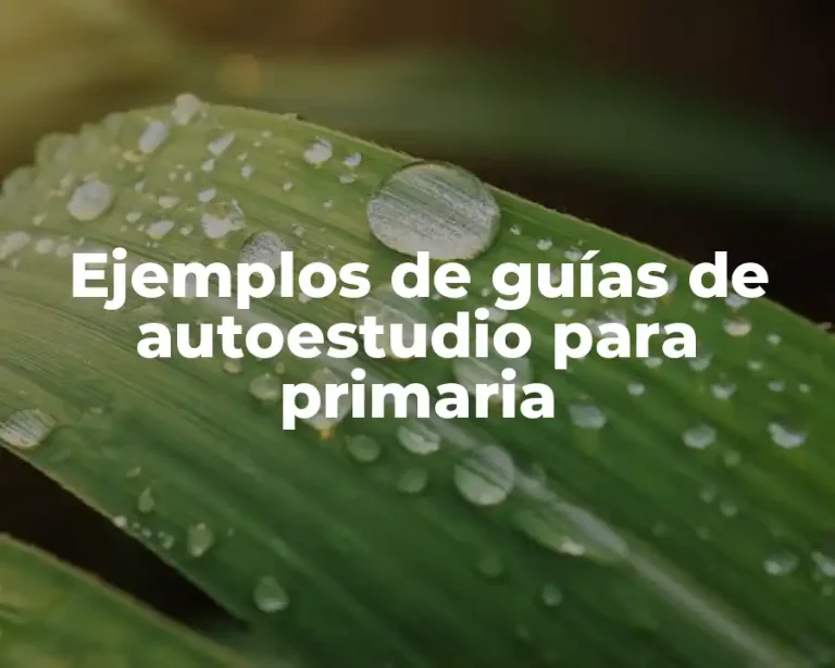 Ejemplos de guías de autoestudio para primaria
