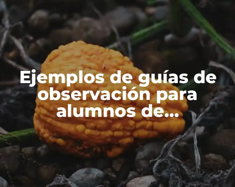 Ejemplos de guías de observación para alumnos de arquitectura