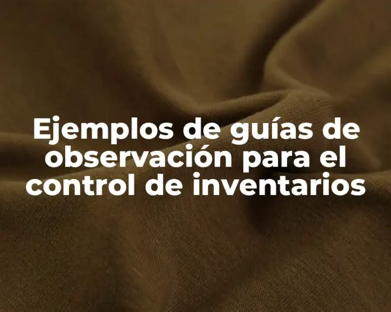 Ejemplos de guías de observación para el control de inventarios