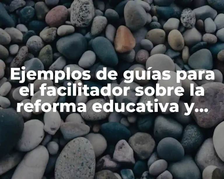 Ejemplos de guías para el facilitador sobre la reforma educativa y Significado