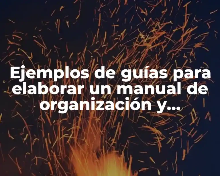 Ejemplos de guías para elaborar un manual de organización y Significado