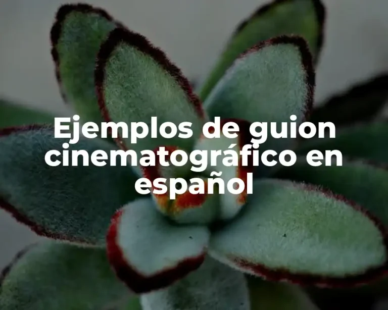 Ejemplos de guion cinematográfico en español