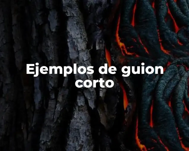 Ejemplos de guion corto