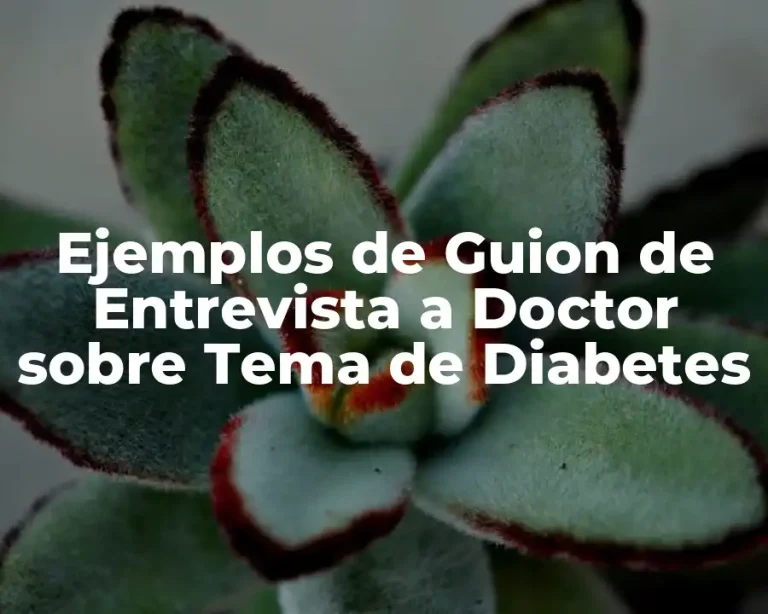 Ejemplos de Guion de Entrevista a Doctor sobre Tema de Diabetes