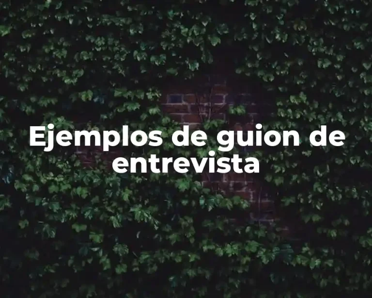 Ejemplos de guion de entrevista