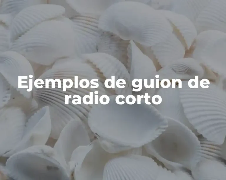 Ejemplos de guion de radio corto