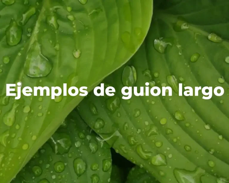 Ejemplos de guion largo