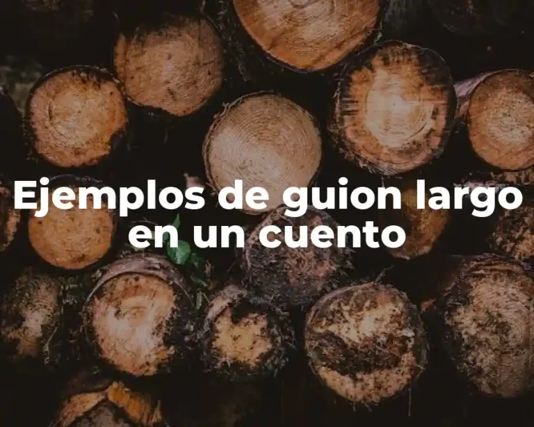 Ejemplos de guion largo en un cuento