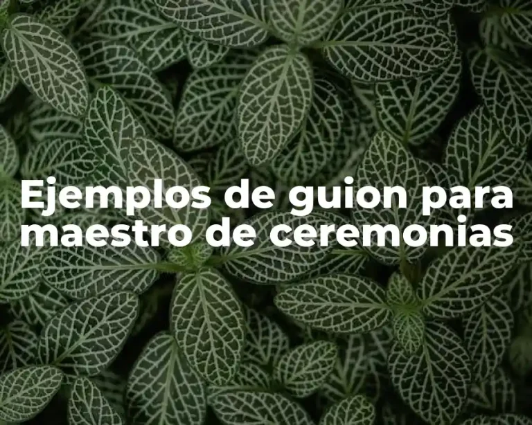 Ejemplos de guion para maestro de ceremonias