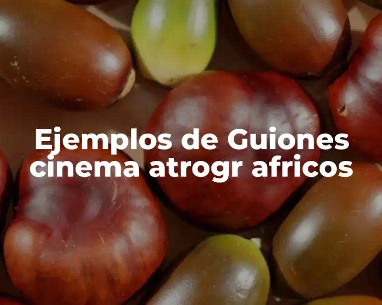 Ejemplos de Guiones cinema atrogr africos