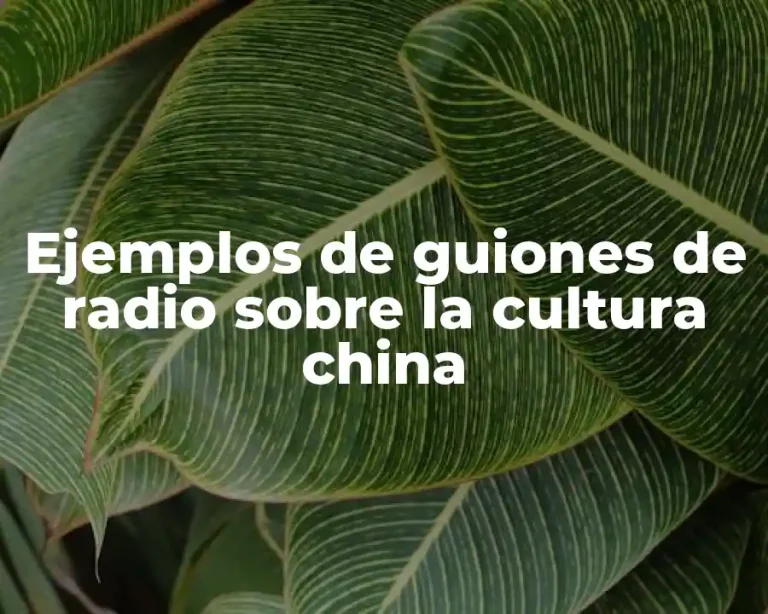 Ejemplos de guiones de radio sobre la cultura china