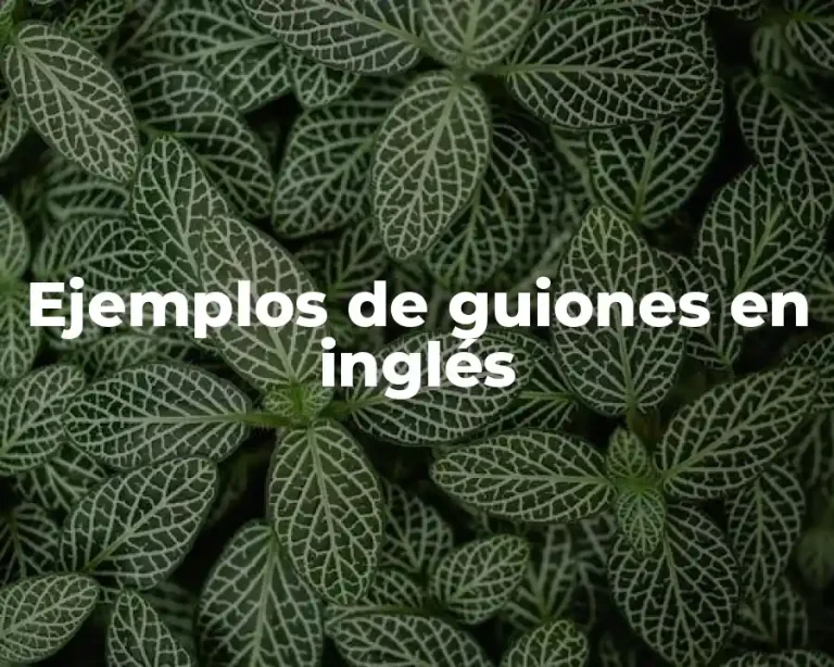 Ejemplos de guiones en inglés